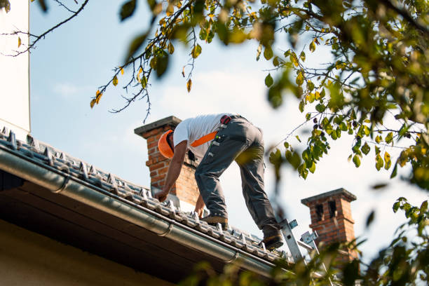 Best Gutter Installation and Roofing  in Atkinson, IL