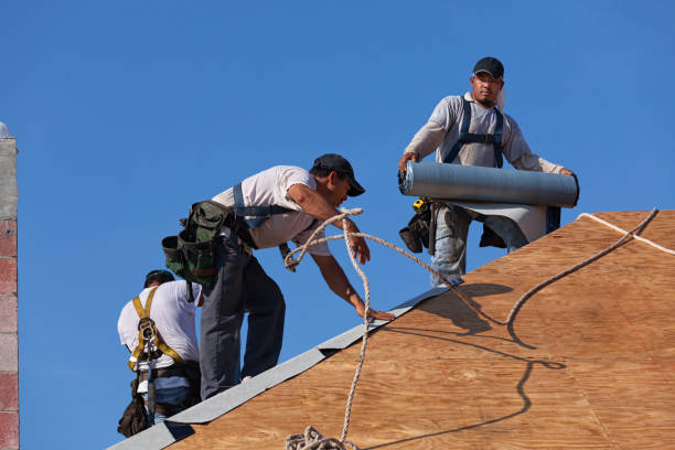 Best Metal Roofing Contractor  in Atkinson, IL